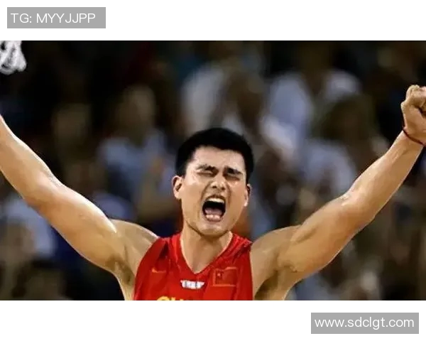 姚明钓篮的传奇故事与篮球梦想的完美结合