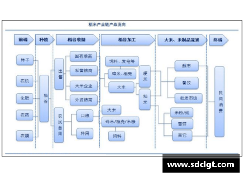 冰岛足球队员2024赛季统计分析及表现评估